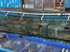 -蓝湾碧波·老字号·疍家非遗海上餐厅