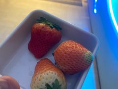 -碧涛阁·泡泡海洋·汤泉洗浴(王府花园店)