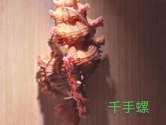 -中国湿地博物馆