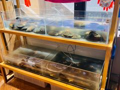 -十八字金银饰·拼豆·开蚌手工体验团建(君太百货店)
