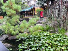 -桥香园云南过桥米线(红龙井店)
