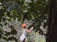 -西双版纳原始森林公园