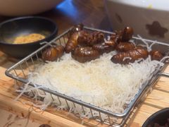 -鸽子窝(青塔店)