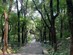 -宁波市保国寺古建筑博物馆