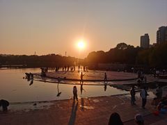 -南翔镇银翔湖公园