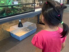 -FAIRYLAND龙族星球主题餐厅(凯丹广场店)