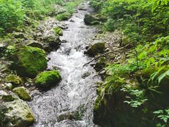 -老秃顶草原景区