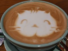 -猫色咖啡·猫咖