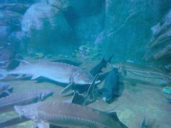 -福州罗源湾海洋世界旅游区