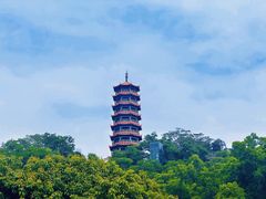 -红花山公园