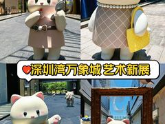 -深圳湾万象城(南山店)