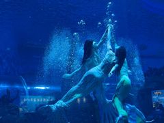 -石家庄市动物园