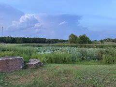 -合肥滨湖国家森林公园