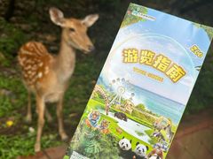 -大连森林动物园