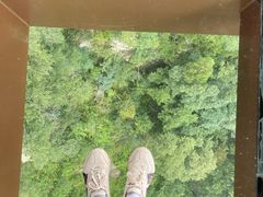 -少华山国家森林公园