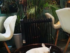 -小时光咖啡馆(北锣鼓巷店)