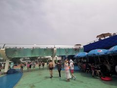 -秦皇岛乐岛海洋王国