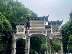 -云碧峰国家森林公园