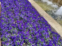 -上海市第一师范学校附属小学