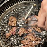 牛百宝箱都有啥[调皮]