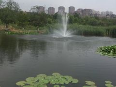 -前关湿地公园