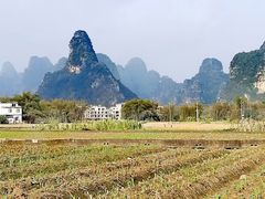 -明仕田园