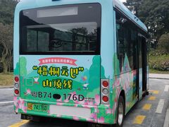 -梧桐山风景名胜区