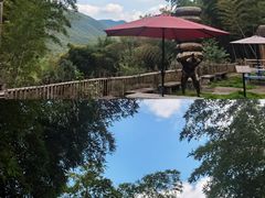 -宁波浙东大竹海景区