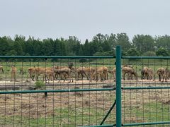 -溱湖国家湿地公园