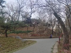 -元大都城垣遗址公园