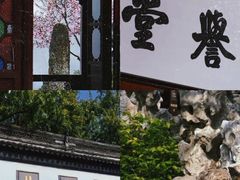 -苏州园林博物馆