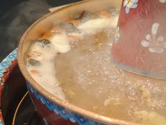 -羊大爷涮肉(亮马桥店)