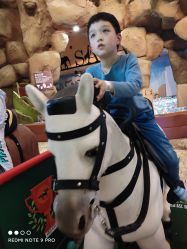 -卡通尼·Safari非洲探索乐园·生日会(金桥国际商业广场店)