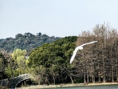 -长广溪湿地公园