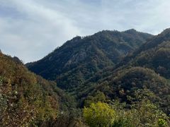-中原大佛景区