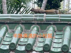 -集美学村