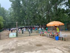 -上美四季动物农场