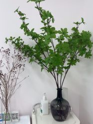 -变美丽半永久纹眉连锁·机器野生眉·洗眉