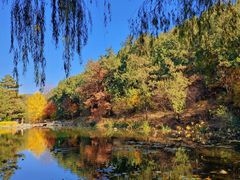 -香山公园