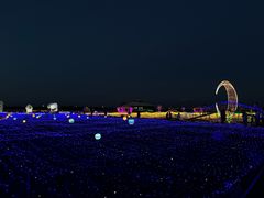 -亚心花海主题乐园