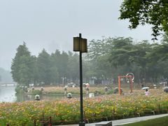 -顺峰山公园