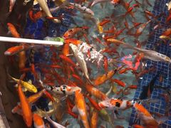 -万达茂商场(南京仙林店)