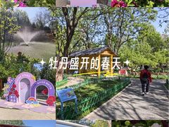 -太阳宫公园