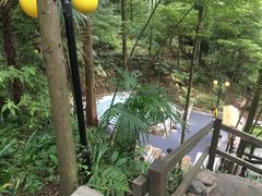 -花水湾第一村温泉大酒店