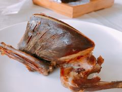 -食家鸽园
