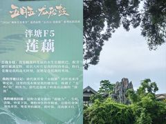 -荔湾湖公园
