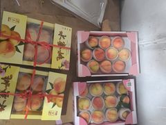 -南汇水蜜桃采摘(大团店)