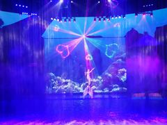 -芜湖新华联大白鲸海洋公园