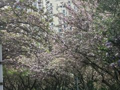 -苏州河梦清园环保主题公园