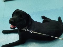 -宠颐生猫科·内科皮肤科(西平世纪城店)